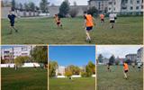 MyCollages (11177)